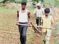 ತುಮಕೂರು ರೈತರು ಹೆತ್ತಮಕ್ಕಳನ್ನೇ ನೊಗಕ್ಕೆ ಕಟ್ಟಿದರು