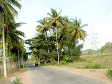 ಪಾಂಡವಪುರದಲ್ಲಿ ಅನಾಥವಾದ 79 ಎಕರೆ ಭೂಮಿ