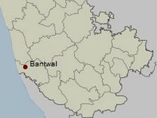 ನವವಿವಾಹಿತೆ ನಾಪತ್ತೆ, ಸೈನಿಕನ ಪತ್ನಿ ಆತ್ಮಹತ್ಯೆ