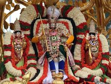 ಕಲ್ಪವೃಕ್ಷವಾಹನರೂಢ ತಿಮ್ಮಪ್ಪನ ಕಾಣಿರೋ