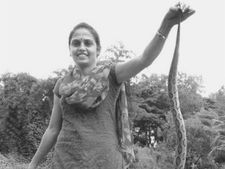  ಕರ್ನಾಟಕಕ್ಕೆ ಮತ್ತೊಬ್ಬ ಹಾವಾಡಗಿತ್ತಿ ಪ್ರಾಪ್ತಿ