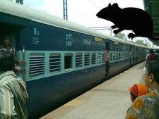 ಪ್ರಯಾಣಿಕರೆ ರೈಲಲ್ಲಿ ಇಲಿಗಳ ಬಗ್ಗೆ ಎಚ್ಚರಿಕೆ ಇರಲಿ!