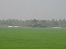 ದೇಶದಲ್ಲೇ ಅತಿ ಕಡಿಮೆ ವಾಯು ಮಾಲಿನ್ಯ ಹಾಸನದಲ್ಲಿ