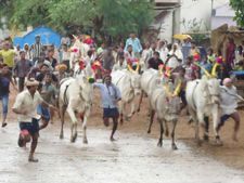 ಬಳ್ಳಾರಿ : ಕಂಪ್ಲಿಯಲ್ಲಿ ಕಾರಹುಣ್ಣಿಮೆ ಹಬ್ಬದ ಸಂಭ್ರಮ