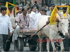 ವಾಟಾಳ್ ಜೊತೆ ಪ್ರತಿಭಟನೆಗೆ ಮರಾಠಿ ಎಮ್ಮೆಗಳ ಹಿಂದೇಟು?