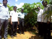 ಕೊಪ್ಪಳ : ತೋಟಗಾರಿಕಾ ತರಬೇತಿಗೆ ಅರ್ಜಿ ಆಹ್ವಾನ