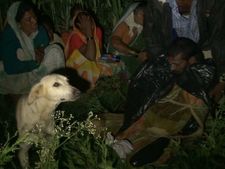 ಬೆಳಗಾವಿ ರೈತನ ಶ್ವಾನದ ಗೋಳು ಸುವರ್ಣಸೌಧ ತಲುಪೀತೆ?