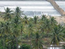 ಮಂಡ್ಯ : ವರುಣಾ ನಾಲೆಗೆ ಬಿದ್ದ ವ್ಯಾನ್, 6 ಸಾವು