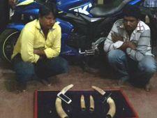 ಸವದತ್ತಿಯಲ್ಲಿ ಕುಖ್ಯಾತ ಆನೆ ದಂತ ಚೋರರ ಬಂಧನ
