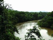 ತಡೆಯಾಜ್ಞೆ ಇದ್ದರೂ ಎತ್ತಿನಹೊಳೆ ಕಾಮಗಾರಿ ನಿಂತಿಲ್ಲ!