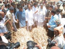 ಚಿತ್ರಗಳು : ಧಾರವಾಡದಲ್ಲಿ ಸಿದ್ದರಾಮಯ್ಯ ಬರ ಪ್ರವಾಸ