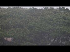 ಆರ್ಭಟಿಸಿದ ಮುಂಗಾರು ಪೂರ್ವ ಮಳೆ, ಸೆಕೆ ಇಳಿಕೆ