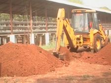 ಹಕ್ಕಿ ಜ್ವರ : ಬೀದರ್‌ನಲ್ಲಿ ಕೋಳಿಗಳ ಸಂಹಾರ ಆರಂಭ