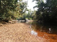 ಉತ್ತರ ಕನ್ನಡದ ಜೀವನಾಡಿ ಅಘನಾಶಿನಿಯೂ ಬರಿದು