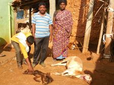ಕುಂದನಹಳ್ಳಿಯಲ್ಲಿ ಕುರಿ ಕೋಳಿ ತಿಂದು ತೇಗಿದ ಚಿರತೆ