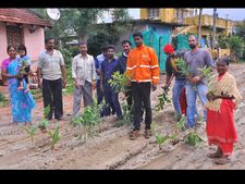 ಹಾಸನ: ರಸ್ತೆಯಲ್ಲೇ ಗಿಡನೆಟ್ಟು ವಿನೂತನ ಪ್ರತಿಭಟನೆ