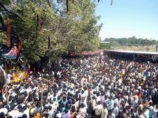 ನಾಗಲ ಮಡಿಕೆಗೆ ನಡೆದುಕೊಂಡರೆ ನಾಗ ದೋಷ ಪರಿಹಾರ!