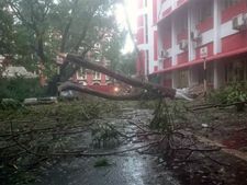 ಚಂಡಿ ಹಿಡಿದ ಚಂಡಮಾರುತಕ್ಕೆ ಚೆನ್ನೈ ಚೆಲ್ಲಾಪಿಲ್ಲಿ