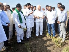 ಬರ ನಿರ್ವಹಣೆಗೆ ಪ್ರತಿ ವಿಧಾನಸಬಾ ಕ್ಷೇತ್ರಕ್ಕೆ 60 ಲಕ್ಷ : ದೇಶಪಾಂಡೆ