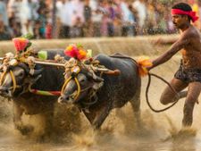 ಡಿ.11ರಂದು ಸದ್ದುಗದ್ದಲವಿಲ್ಲದ ಸಾಂಕೇತಿಕ ಕಂಬಳ 