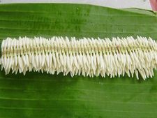 ಉಡುಪಿಯ ಶಂಕರಪುರ ಮಲ್ಲಿಗೆ ಕೊಳ್ಳುವವರಿಗೆ ಇದು ಸುಭಿಕ್ಷಕಾಲ 