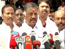 ಸುಗ್ರೀವಾಜ್ಞೆ ಹೊರಡಿಸುವವರೆಗೆ ಜಲ್ಲಿಕಟ್ಟು ಪ್ರತಿಭಟನೆ ನಿಲ್ಲಲ್ಲ!