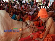 ಶ್ರೀಮಂತರು ಮನೆಯಲ್ಲಿ ನಾಯಿಗಳಂತೆ ಗೋವುಗಳನ್ನು ಸಾಕಿ - ಪೇಜಾವರ ಶ್ರೀ