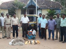 ಕನಕಪುರದಲ್ಲಿ ಬಾವಲಿ, ಮೊಲ ಬೇಟೆಯಾಡುತ್ತಿದ್ದವರ ಬಂಧನ