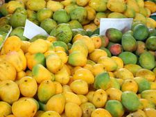  ಹಾಸನ : ಜೂನ್ 5ರಿಂದ ಮಾವು, ಹಲಸು ಮೇಳ