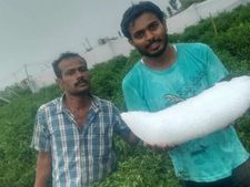 ಚಿಕ್ಕಬಳ್ಳಾಪುರದ ಅಗಲಗುರ್ಕಿಯಲ್ಲಿ ಬಿದ್ದಿದ್ದು ಕೆಜಿಗಟ್ಟಲೆ ತೂಕದ ಆಲಿಕಲ್ಲು