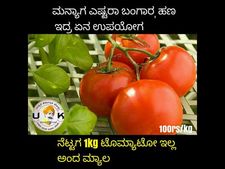 ದರ ಏರಿಕೆಯಲ್ಲೂ ನಗೆ ಉಕ್ಕಿಸುತ್ತಿರುವ ಟೊಮೆಟೋ ಜೋಕ್ಸ್!