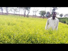 ಆವಲುಕುಪ್ಪ ಸಸ್ಯ ಕ್ಷೇತ್ರ, ಅಶೋಕ ರೆಡ್ಡಿ ಎಂಬ ಅಕ್ಕರೆ...
