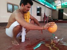 ನಾಗರ ಪಂಚಮಿಯಂದು ಉಡುಪಿಯಲ್ಲಿ ಜೀವಂತ ನಾಗನಿಗೆ ಎಳನೀರಿನ ಅಭಿಷೇಕ 