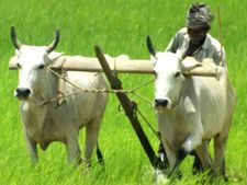  ಕೊಪ್ಪಳ: ಅಲ್ಪ ನೀರಾವರಿ ಬೆಳೆ ಬೆಳೆಯಲು ರೈತರಿಗೆ ಮನವಿ 