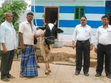 ಕೊಪ್ಪಳ : ಪಶುಭಾಗ್ಯ ಯೋಜನೆಯಿಂದ ನೆಮ್ಮದಿ ಕಂಡ ಕುಟುಂಬ