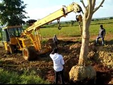 ಹಸಿರ ಉಳಿವಿನತ್ತ ಹೆಜ್ಜೆ: ಹುಬ್ಬಳ್ಳಿಯಲ್ಲಿ 42 ಮರಗಳಿಗೆ ವರ್ಗಾವಣೆ ಭಾಗ್ಯ!