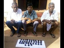 ಉಡುಪಿ : 33 ನಾಡ ಬಾಂಬ್ ವಶ