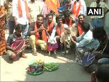 ಕತ್ತೆ-ನಾಯಿ ಮದುವೆಮಾಡಿ ಚೆನ್ನೈನಲ್ಲಿ ಪ್ರೇಮಿಗಳ ದಿನ ಆಚರಣೆ!
