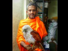 ಗರುಡ ಪಕ್ಷಿ ಪ್ರಾಣ ಉಳಿಸಿದ ಪೇಜಾವರ ಕಿರಿಯ ಶ್ರೀ ವಿಶ್ವಪ್ರಸನ್ನ ತೀರ್ಥ 