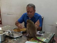 ಕೋತಿ ಜೊತೆ ಉಪಹಾರ ಹಂಚಿಕೊಂಡ ಶಾಸಕ ಸುರೇಶ್ ಬಾಬು!