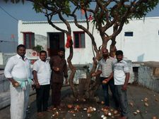 ನೆಚ್ಚಿನ ನಾಯಕನಿಗೆ ಟಿಕೆಟ್ ಸಿಕ್ಕಿದ್ದಕ್ಕೆ 101 ತೆಂಗಿನಕಾಯಿ ಒಡೆದ ಅಭಿಮಾನಿ 