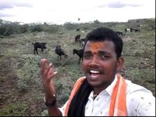 ವೈರಲ್ ವಿಡಿಯೋ: ಕುರಿ ಕಾಯುವನ ಹಾಡಿಗೆ ಕರ್ನಾಟಕ ಫಿದಾ