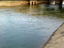 ನಾಲೆಯಲ್ಲಿ ಹರಿದು ಬಂದ ನೀರು: ನಿಟ್ಟುಸಿರು ಬಿಟ್ಟ ಮಂಡ್ಯದ ರೈತರು 