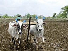 ಕೊಪ್ಪಳ: ಸಂಪೂರ್ಣ ಸಾಲ ಮನ್ನಾಕ್ಕೆ ಆಗ್ರಹಿಸಿ ರಾಷ್ಟ್ರೀಯ ಹೆದ್ದಾರಿ ಬಂದ್‌