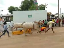 ವೈರಲ್ ವಿಡಿಯೋ: ರೈತನ ಮೇಲೆ ಭಾರವಾದ ಕಲ್ಲು ಹರಿದರೂ ಅದೃಷ್ಟವಶಾತ್ ಪಾರು 