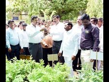 ಕಲಬುರಗಿಯಲ್ಲಿ ಸಸ್ಯಸಂತೆ ಆರಂಭ, 2.90 ಲಕ್ಷ ಸಸಿಗಳು ಮಾರಾಟಕ್ಕಿವೆ