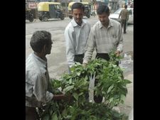 ಆಗಸ್ಟ್ 3ರಂದು ಕೊಡಗಿನಲ್ಲಿ ಆಟಿ ಪದ್ನಟ್ ಸಂಭ್ರಮ