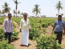 ಪುಷ್ಪ ಕೃಷಿಯಿಂದ ಲಾಭಗಳಿಸಿದ ಕೊಪ್ಪಳ ರೈತ