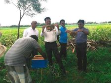 ಜೇನಿನ ಝೇಂಕಾರದಲ್ಲಿ ಲಾಭ ಕಂಡ ಕೊಪ್ಪಳ ರೈತನ ಕಥೆ!