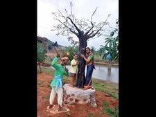 ಕೊಪ್ಪಳದ ಹೊಸ ಆಕರ್ಷಣೆ: ಸಾಲುಮರದ ತಿಮ್ಮಕ್ಕ ವೃಕ್ಷ ಉದ್ಯಾನವನ 